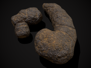 Dog Poop 3Dモデル