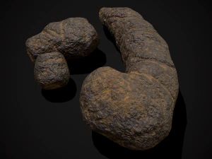 Dog Poop 3D Model