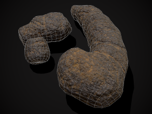 Dog Poop 3Dモデル