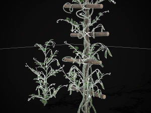 Peas Plant 3D Model