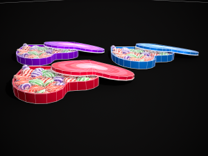 Multicolored Valentines Day Box 3D Model