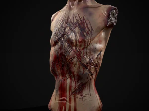 잘린 남성 몸통 3D 모델