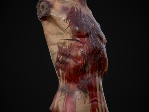 Severed Male Torso 3D Модель