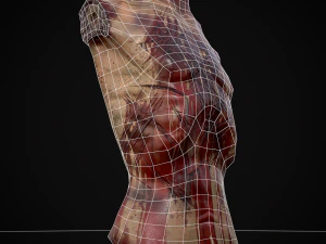 Severed Male Torso 3D Model