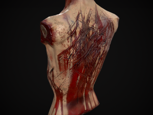 Severed Male Torso 3D Модель