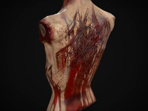 Severed Male Torso 3D Model