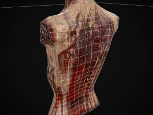 Severed Male Torso 3D Model