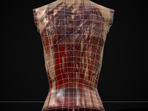 Severed Male Torso 3D Модель