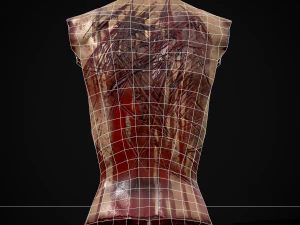 Severed Male Torso 3D Model