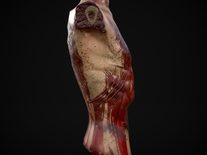 Severed Male Torso 3D Модель