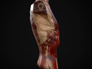 Severed Male Torso 3D Model