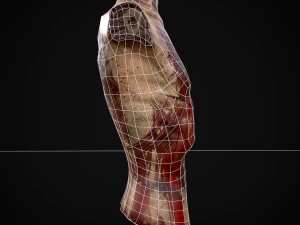 Severed Male Torso 3D Model