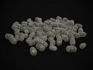 Deer Poop 3D Model