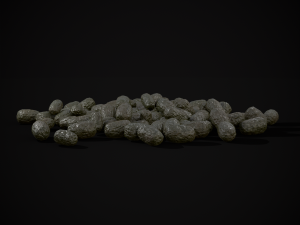 Deer Poop 3D Model