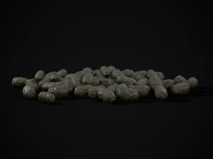 Deer Poop 3D Model