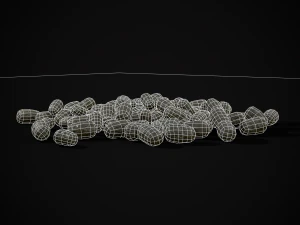 Deer Poop 3D Model