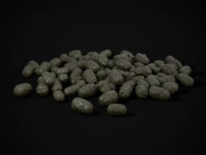 Deer Poop 3D Model