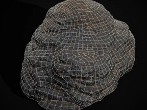 Cow Poop 3D Model