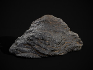 Cow Poop 3D 모델
