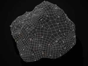 Bear Poop 3D Model