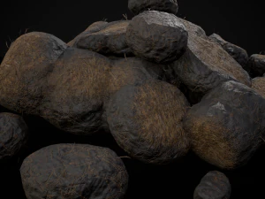 Horse Poop Version 2 3D Model