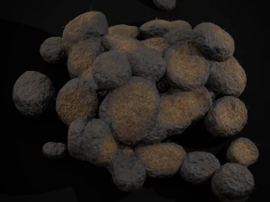 Horse Poop Version 2 3D Model
