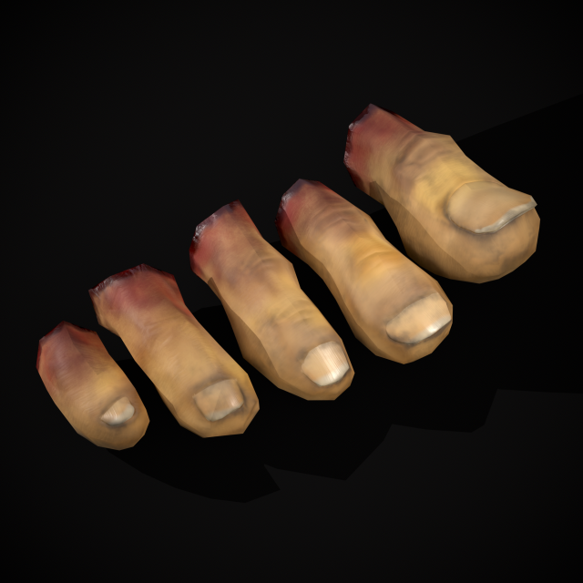 Severed Toes Set 3D Model .c4d .max .obj .3ds .fbx .stl .blend 