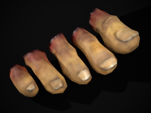 Severed Toes Set 3Dモデル
