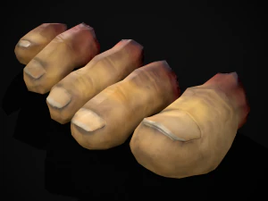 Severed Toes Set 3D Model