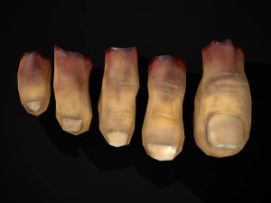Severed Toes Set 3D Model