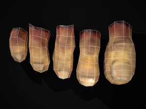 Severed Toes Set 3D Model