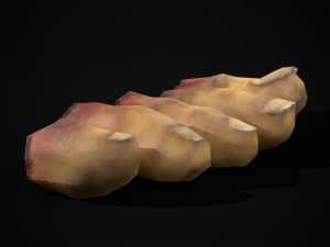 Severed Toes Set 3D Model