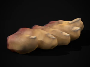 Severed Toes Set 3D Model