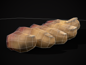 Severed Toes Set 3D Model