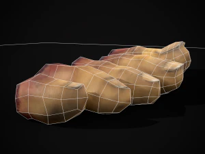 Severed Toes Set 3D Model