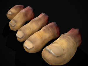 Severed Toes Set 3D Model