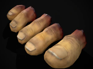 Severed Toes Set 3D Model