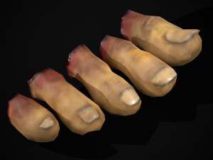 Severed Toes Set 3D Model