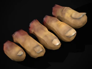 Severed Toes Set 3D Model