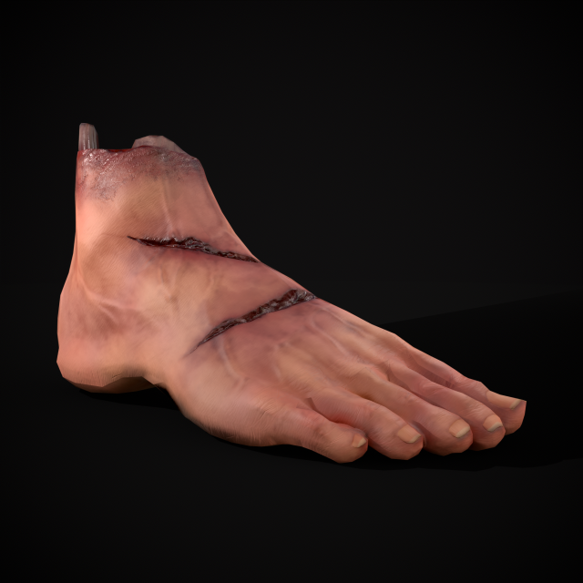 Severed Male Foot 3D-Modell .c4d .max .obj .3ds .fbx .stl .blend 