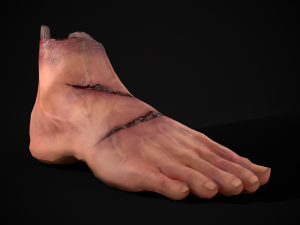 Severed Male Foot Modelo 3D