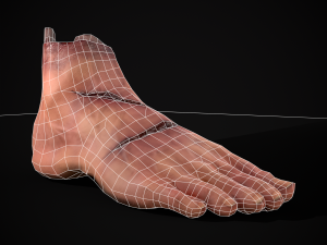 Severed Male Foot 3D-Modell