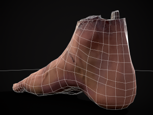 Severed Male Foot 3D-Modell