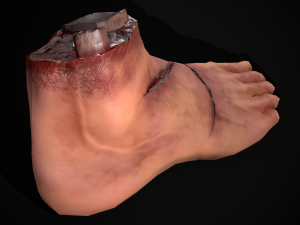 Severed Male Foot 3D-Modell