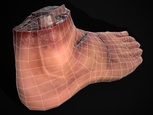 Severed Male Foot 3D-Modell