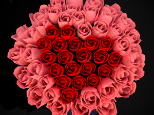 Roses Tin Red and Pink 3D 모델