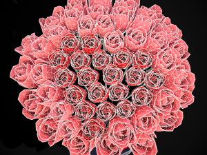 Roses Tin Red and Pink 3D 모델
