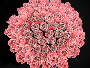 Roses Tin Red and Pink 3D Model