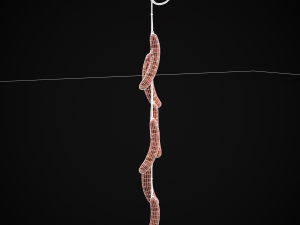 Hanging Chicken Sausage 3D Model
