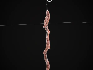 Hanging Chicken Sausage 3D Model